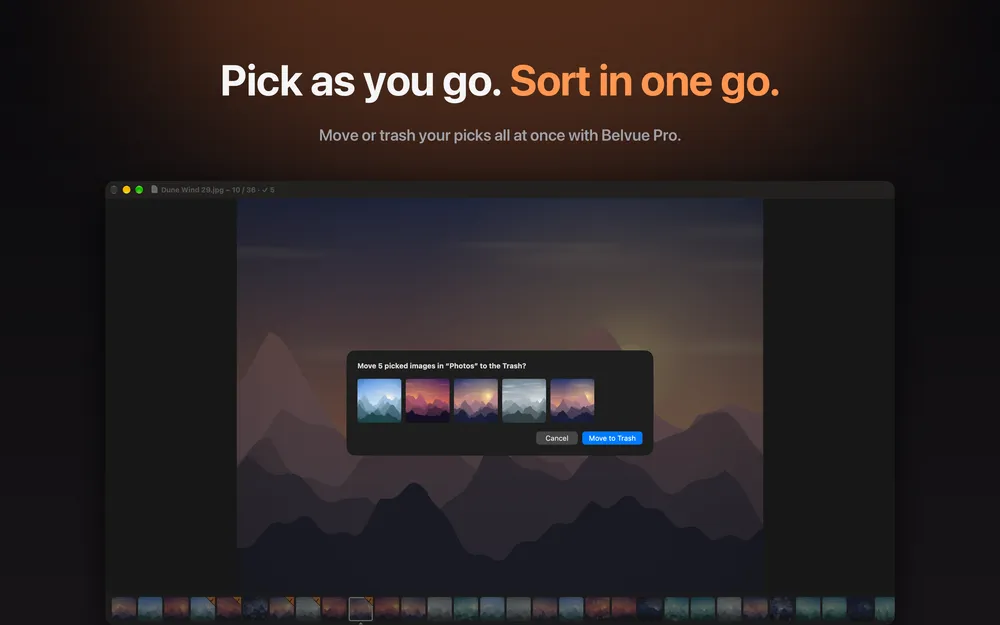 Belvue with a confirmation dialog for moving five picked images to the Trash, shown over the current image