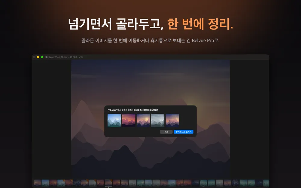 현재 이미지 위에 골라둔 이미지 다섯 장을 휴지통으로 옮길지 묻는 Belvue 확인 창