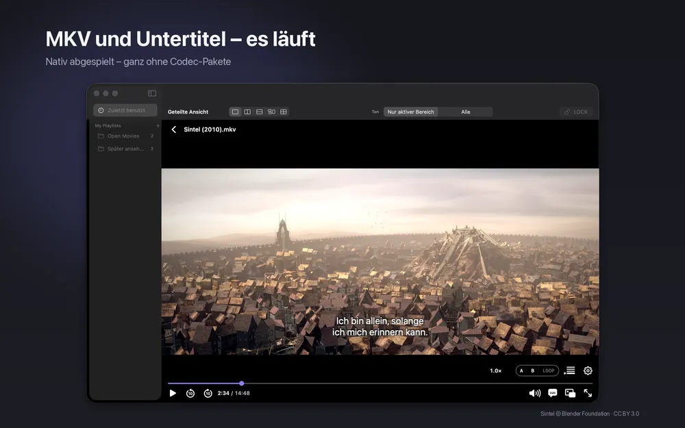 slplayer-Fenster mit einem MKV-Film, deutscher Untertitelzeile und Steuerleiste auf dunklem Hintergrund, darüber die Überschrift zu MKV und Untertiteln