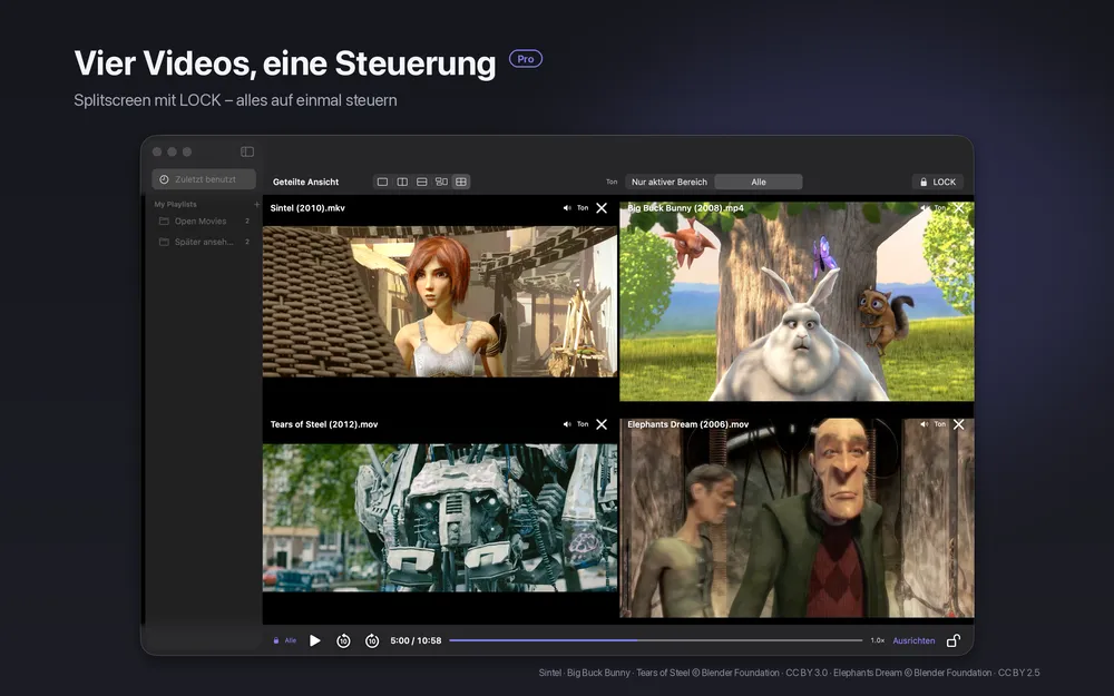 slplayer-Splitscreen mit vier Videos in einem Zwei-mal-zwei-Raster und einer gemeinsamen Steuerung darunter