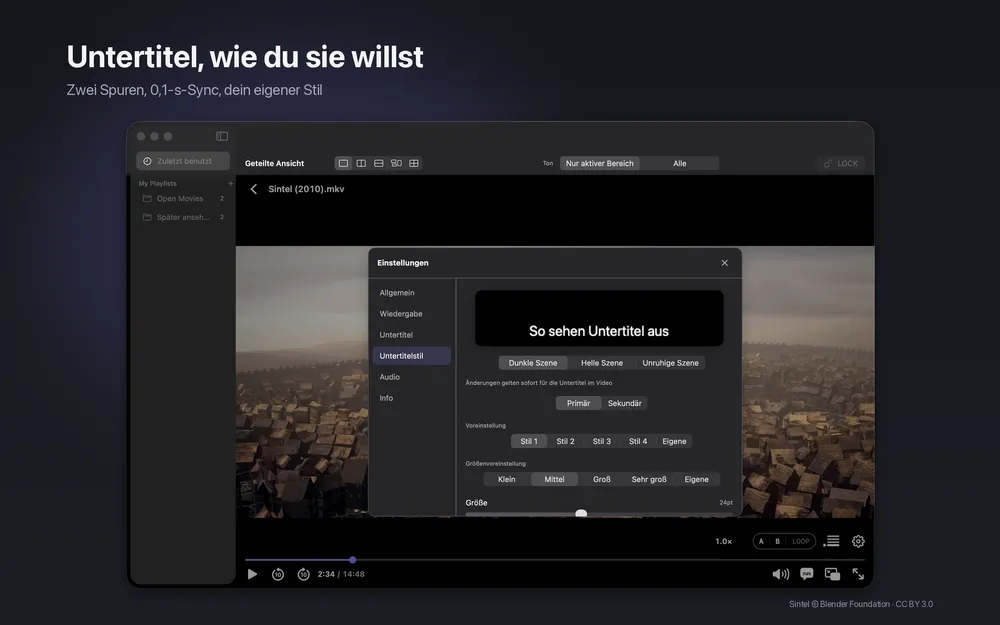 slplayer-Einstellungen für den Untertitelstil mit Vorlagen und Live-Vorschau des Untertiteltexts