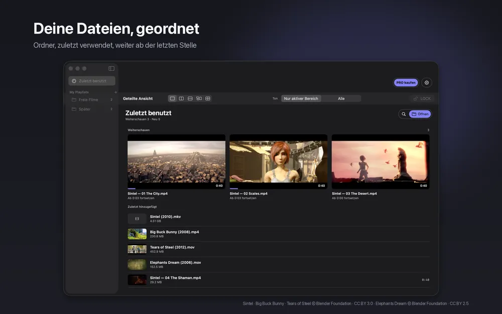 slplayer-Liste der zuletzt verwendeten Videos und Wiedergabelisten mit Ordnern
