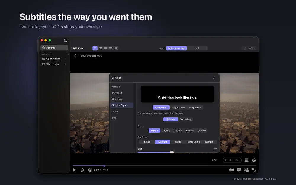 slplayer settings sheet for subtitle style with presets and a live preview of the subtitle text